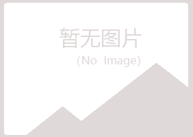 岚山区迷失音乐有限公司